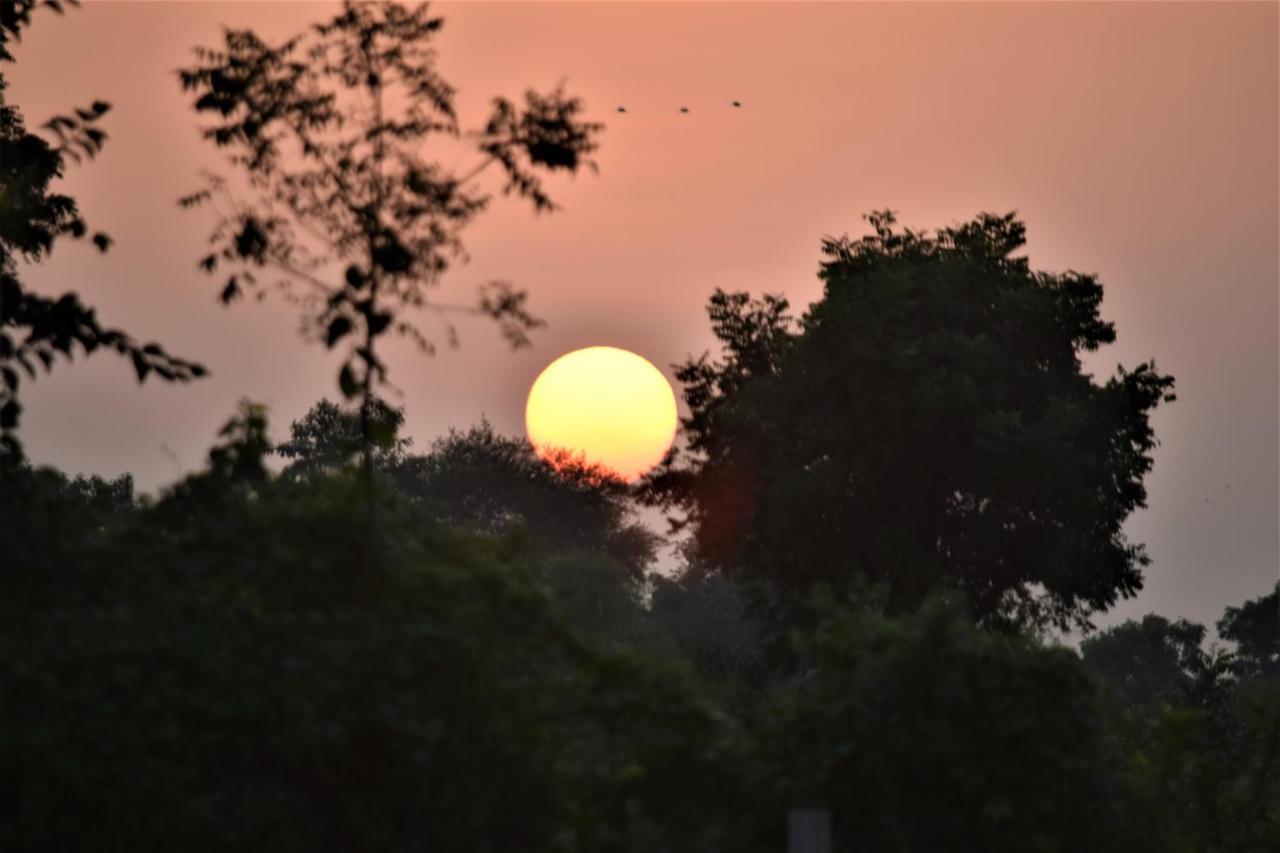 Ranthambhore Bagh Dwar Camp Khilchīpur Exteriér fotografie