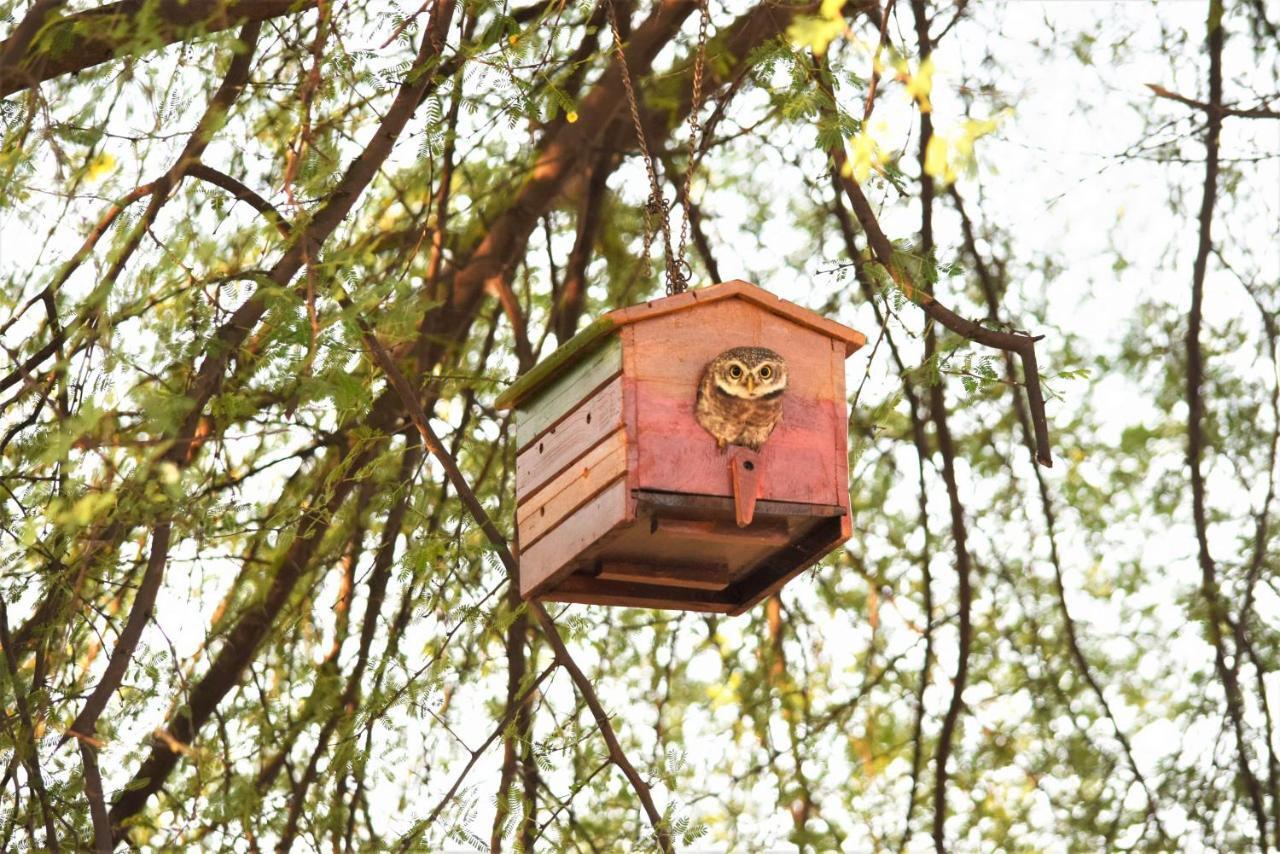 Ranthambhore Bagh Dwar Camp Khilchīpur Exteriér fotografie